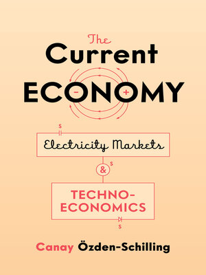 cover image of The Current Economy